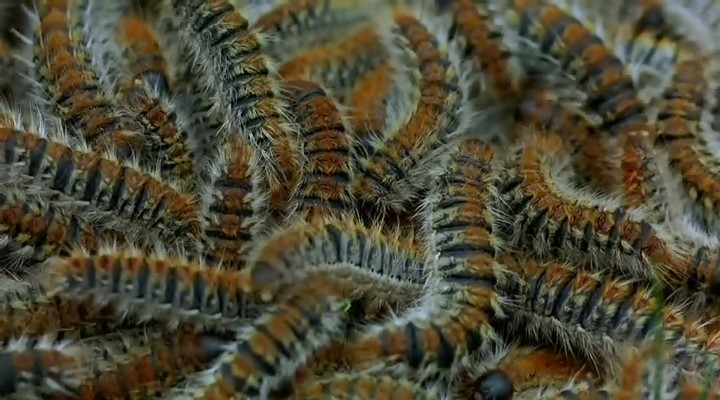 微观世界剧照的剧照