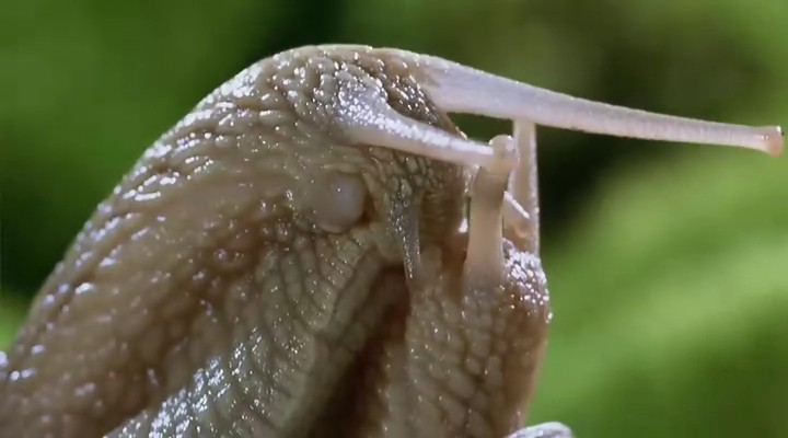 微观世界剧照的剧照