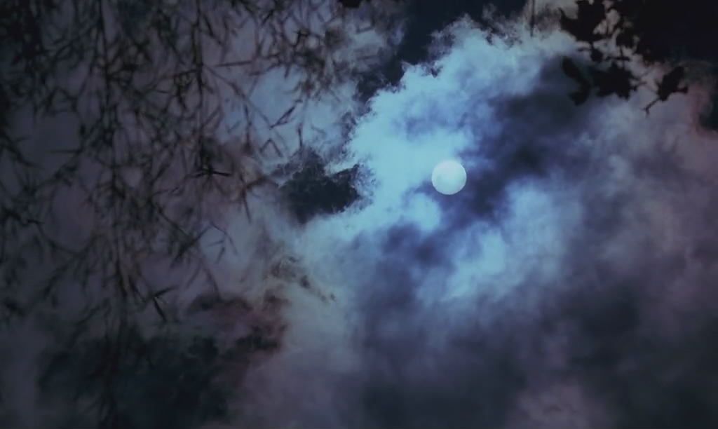 微观世界剧照的剧照