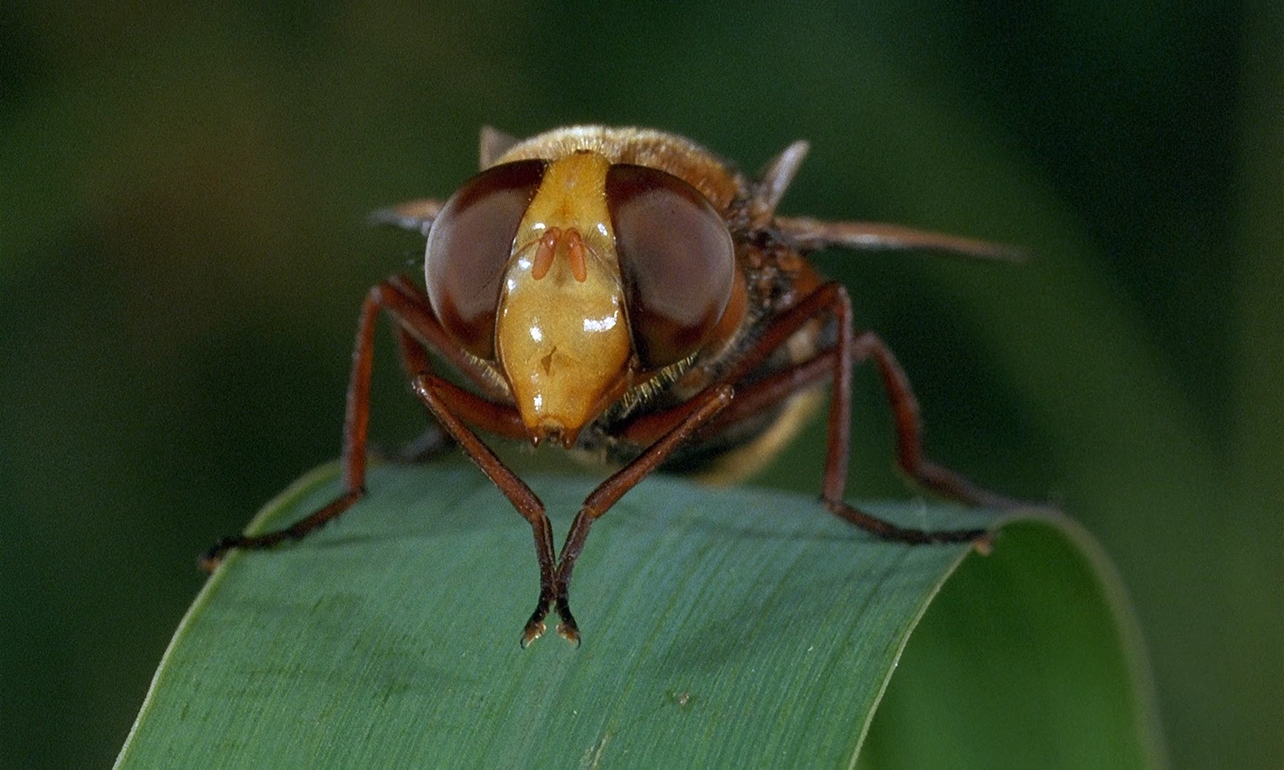 微观世界剧照的剧照