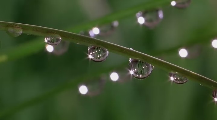 微观世界剧照的剧照