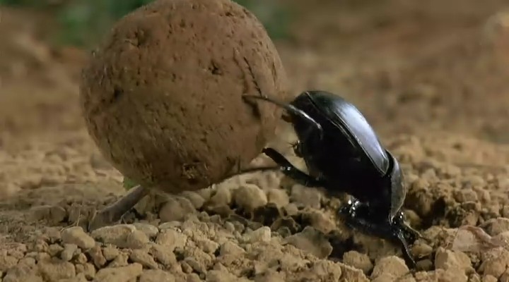 微观世界剧照的剧照