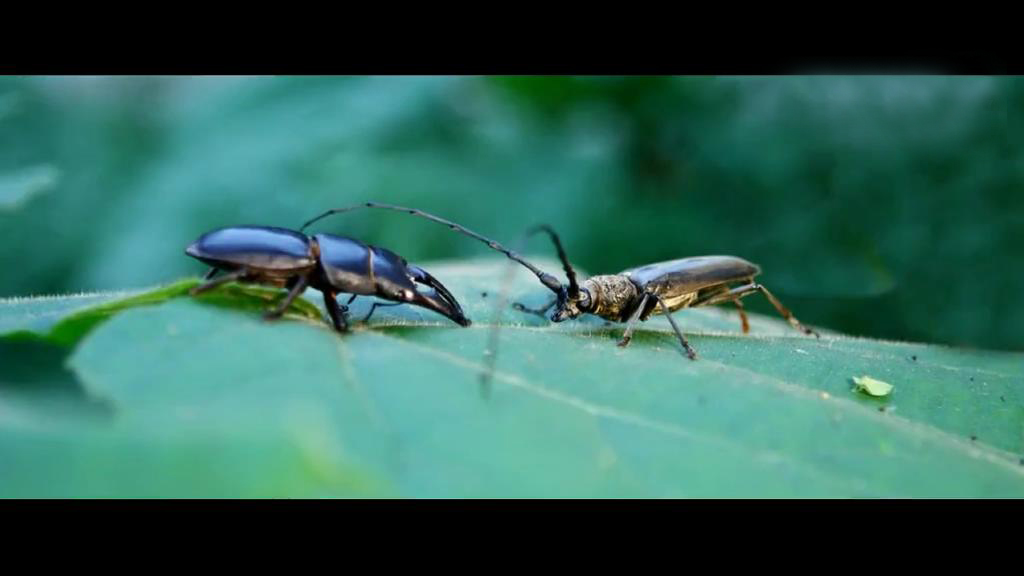 初见：停滞的时光剧照的剧照