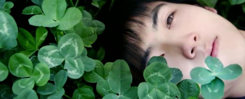 初见：停滞的时光剧照的剧照