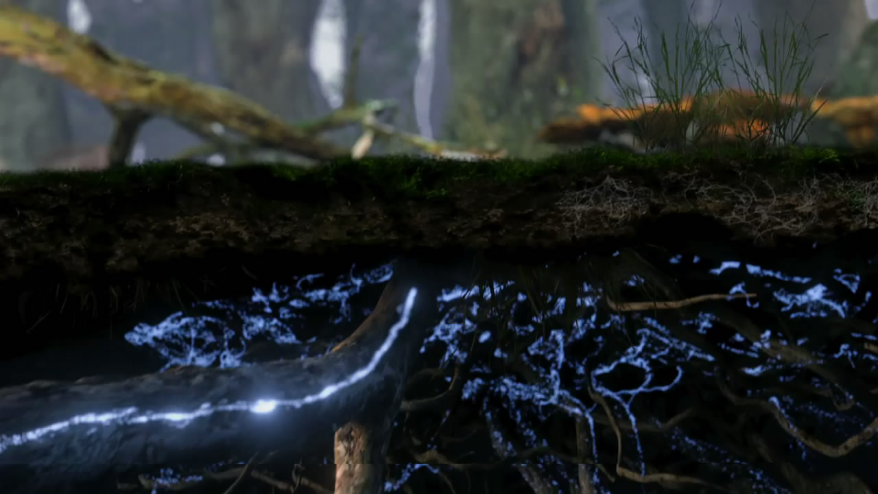 神奇的真菌剧照的剧照