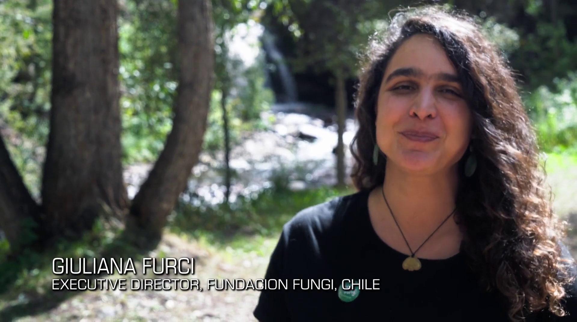 神奇的真菌剧照的剧照