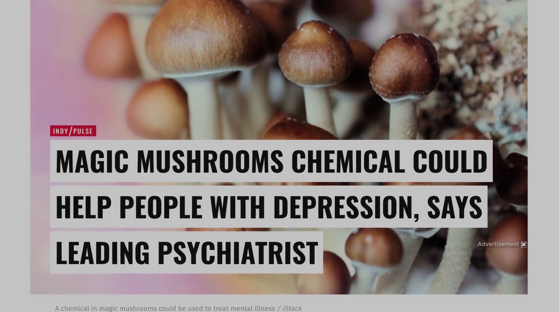 神奇的真菌剧照的剧照