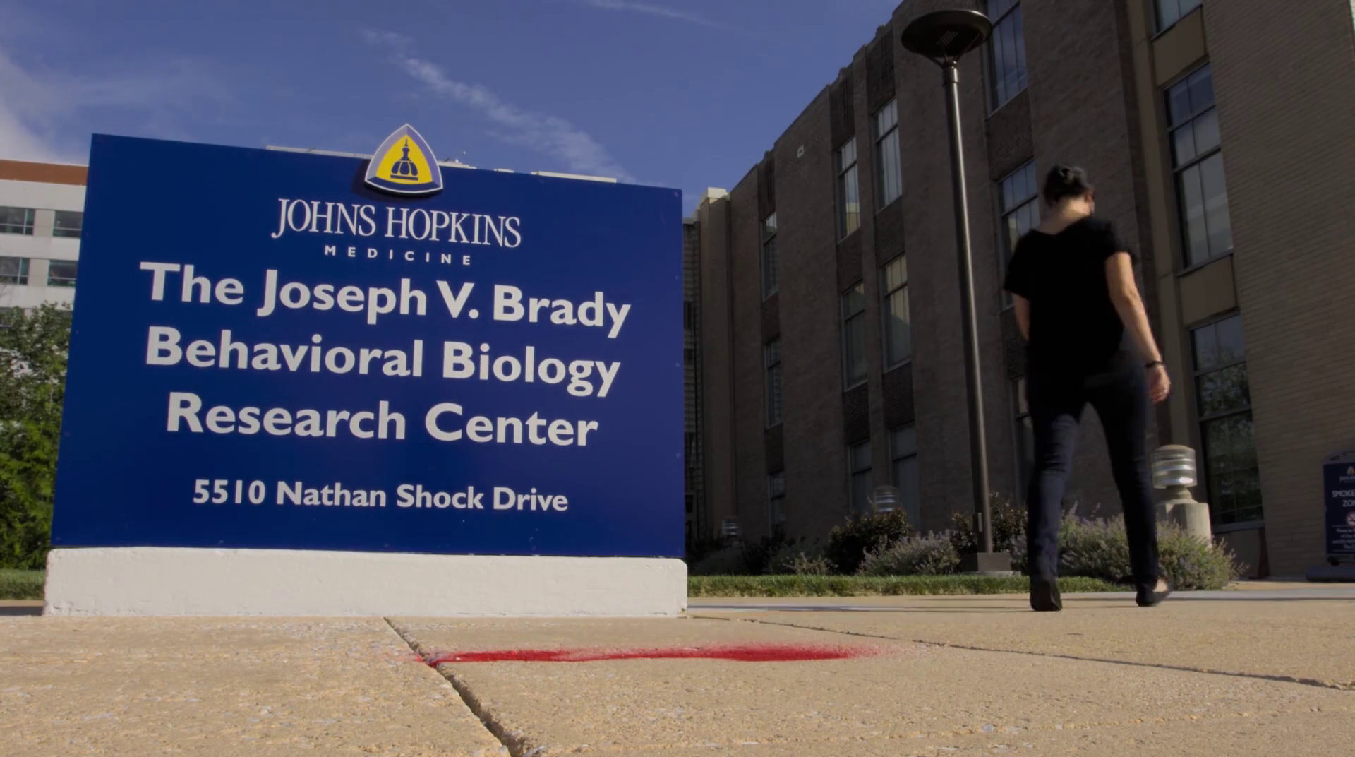 神奇的真菌剧照的剧照