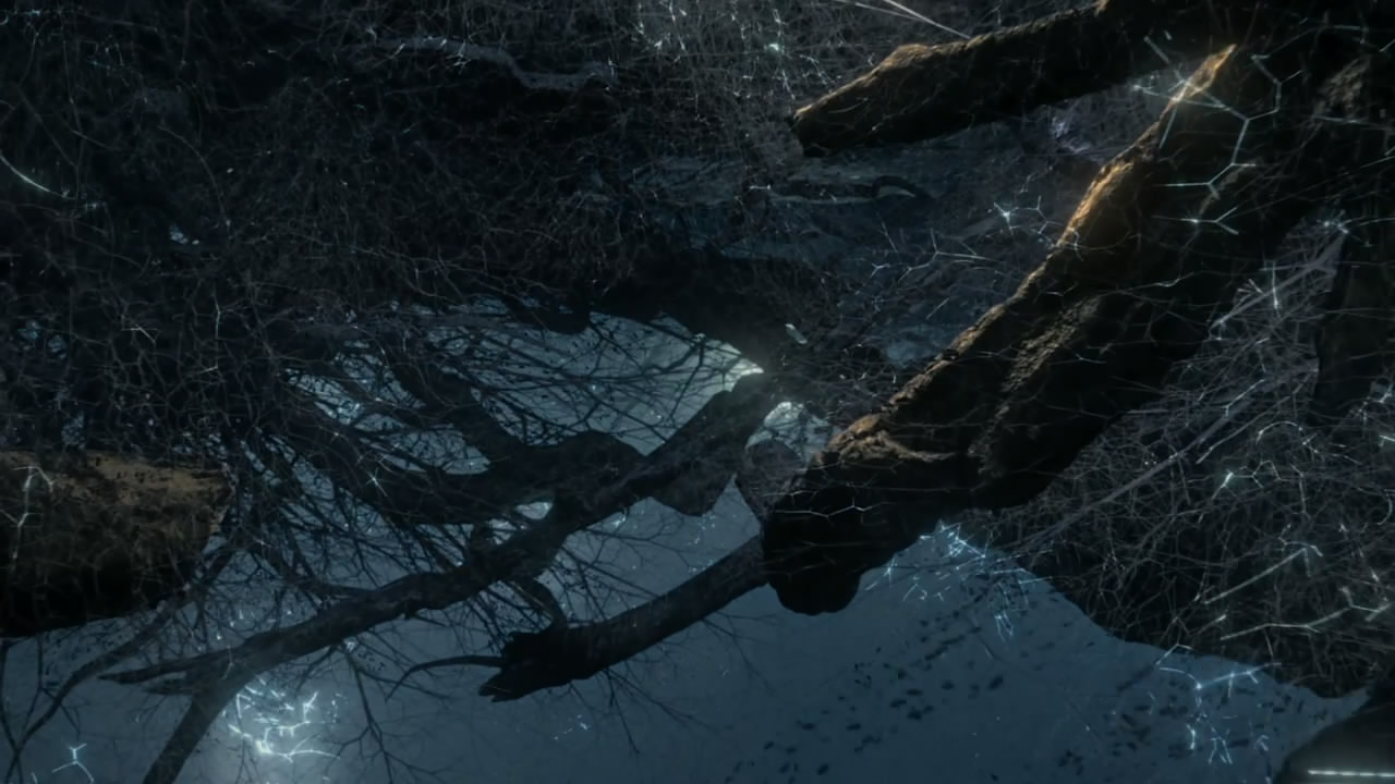 神奇的真菌剧照的剧照