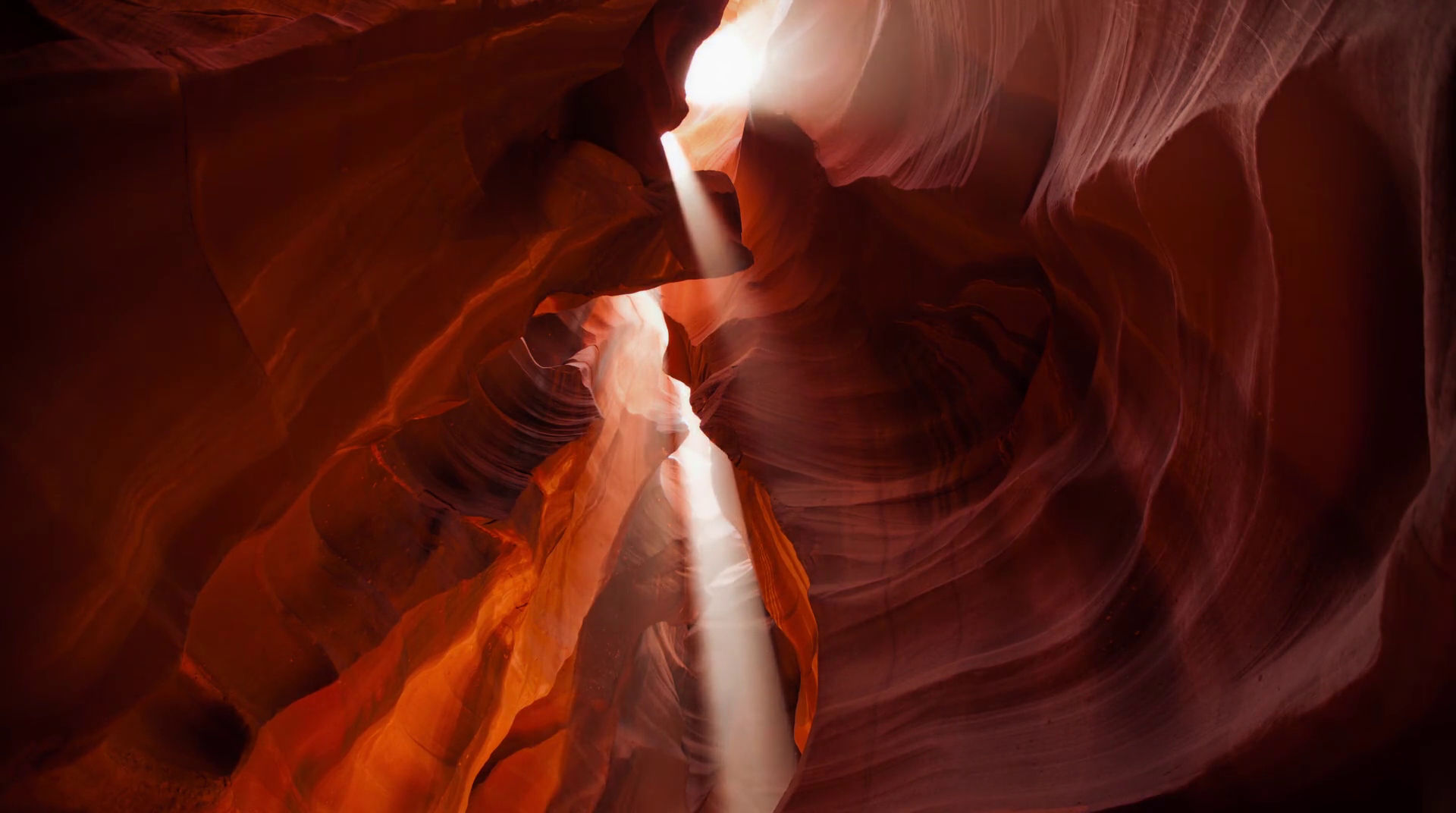 神奇的真菌剧照的剧照