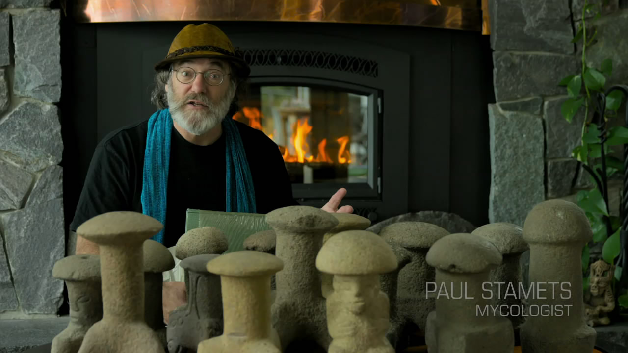 神奇的真菌剧照的剧照