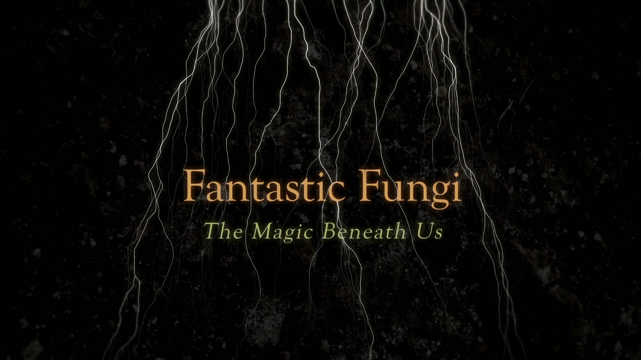 神奇的真菌剧照的剧照