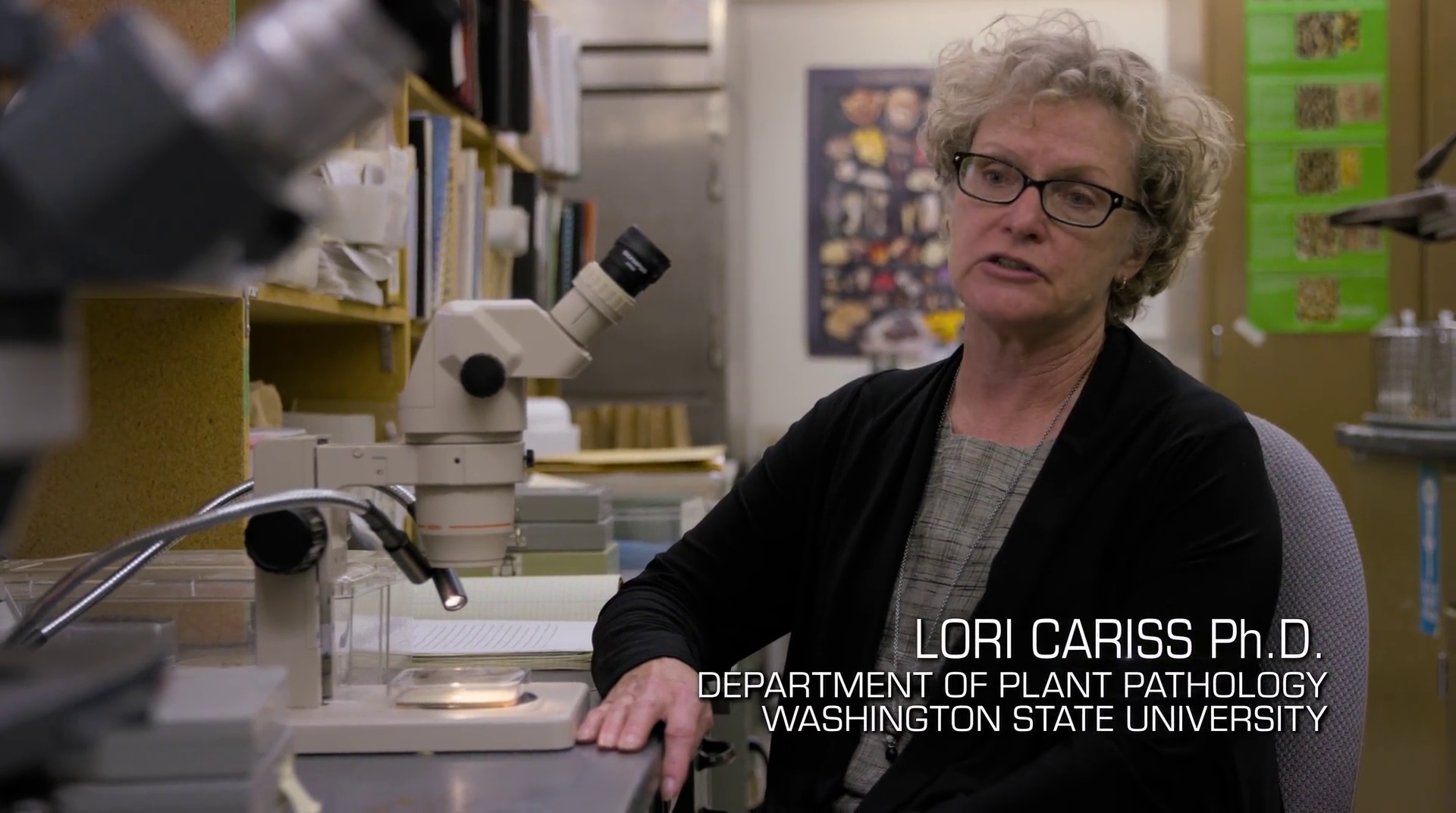 神奇的真菌剧照的剧照