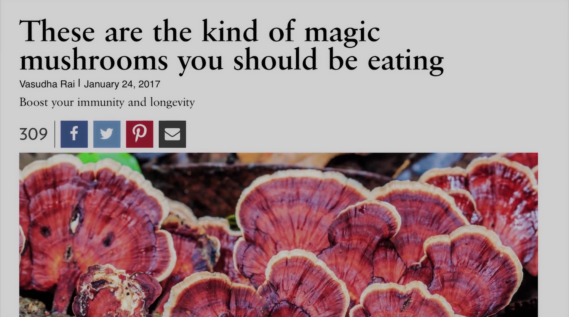 神奇的真菌剧照的剧照