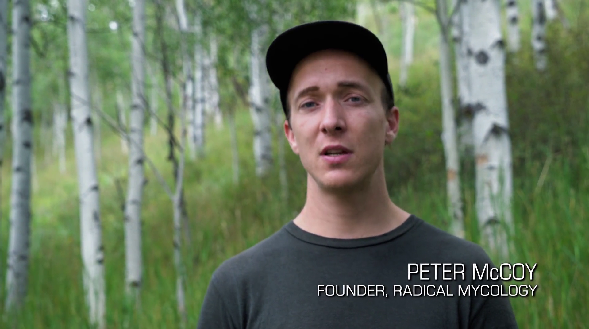 神奇的真菌剧照的剧照