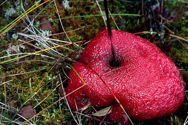 世外桃源剧照的剧照