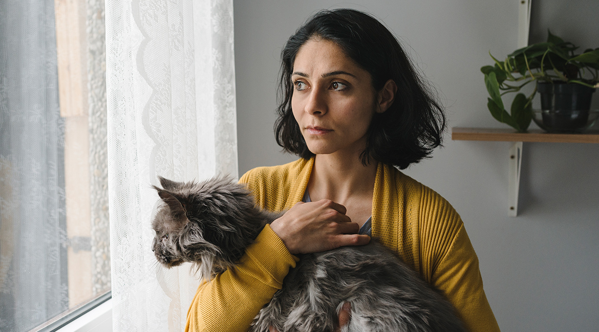 功能失常的猫剧照的剧照