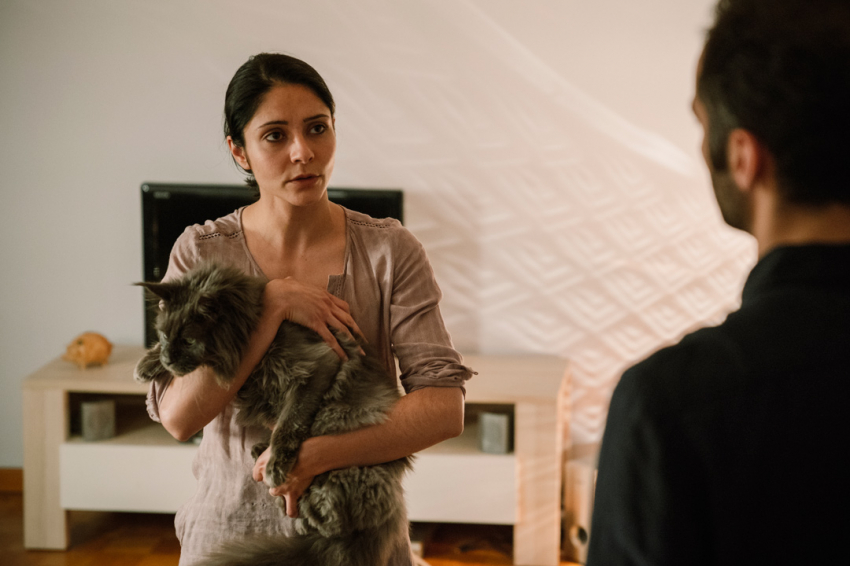 功能失常的猫剧照的剧照