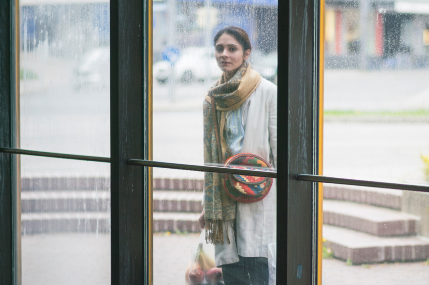 功能失常的猫剧照的剧照