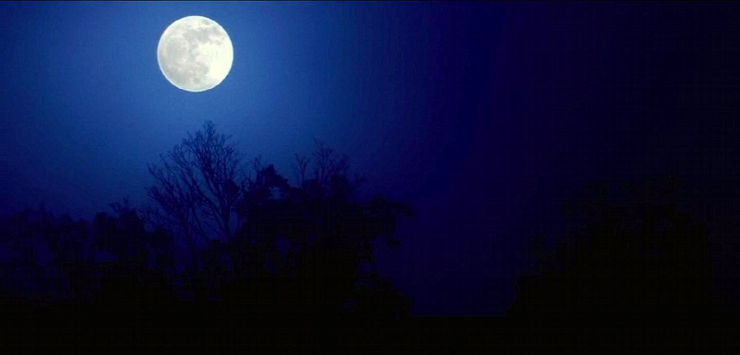 没有青春的青春剧照的剧照