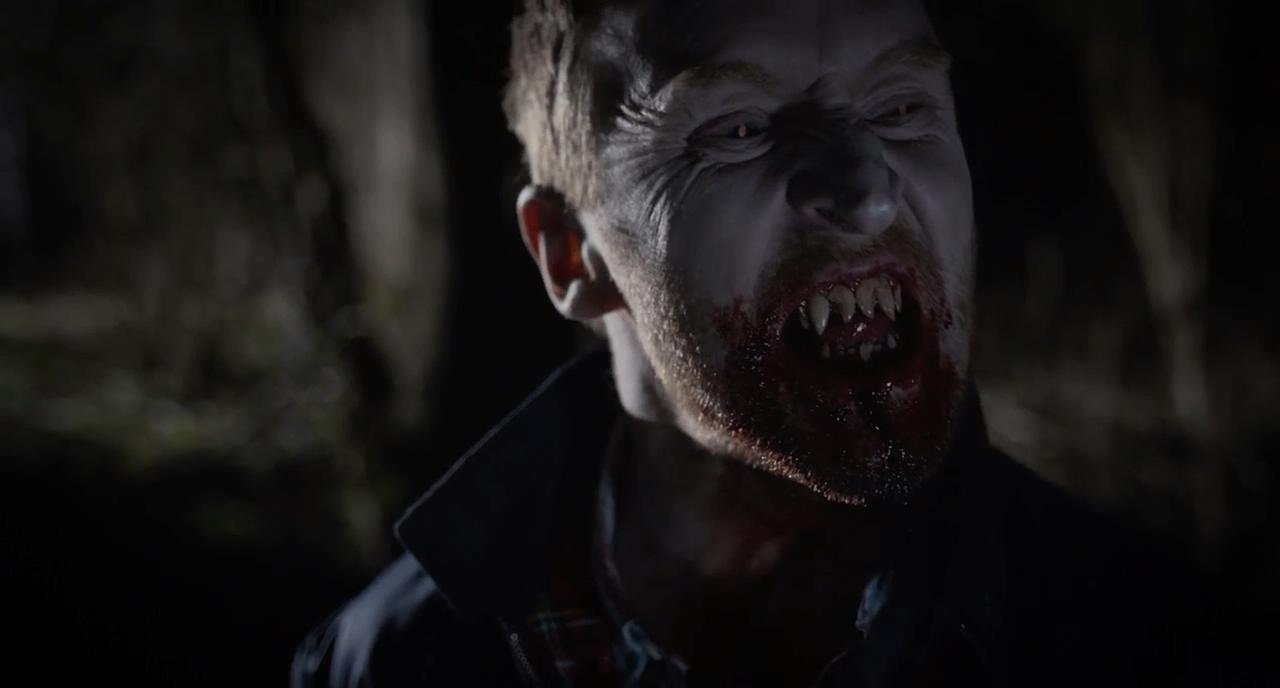 本地特色剧照的剧照