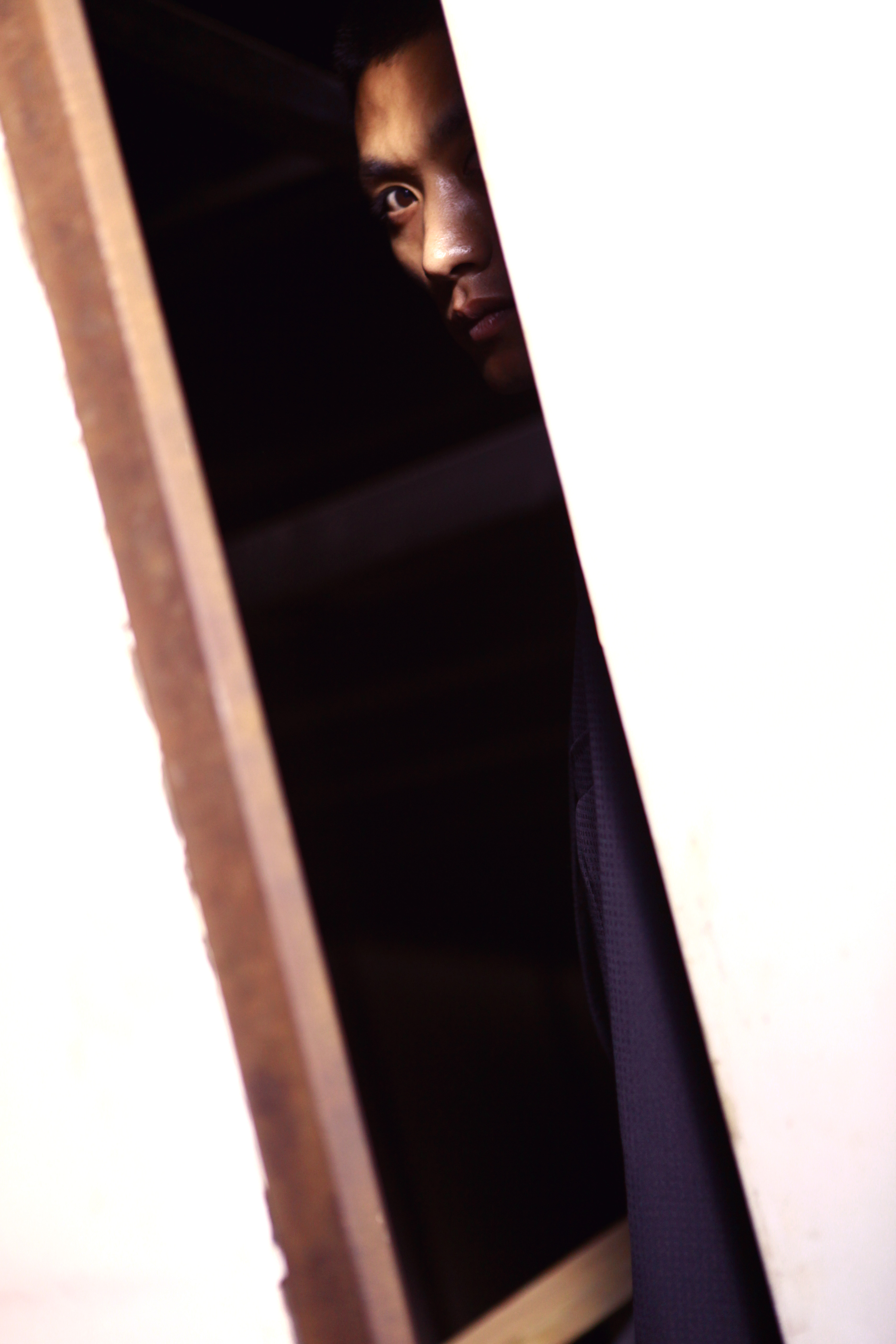 追踪章鱼保罗剧照的剧照