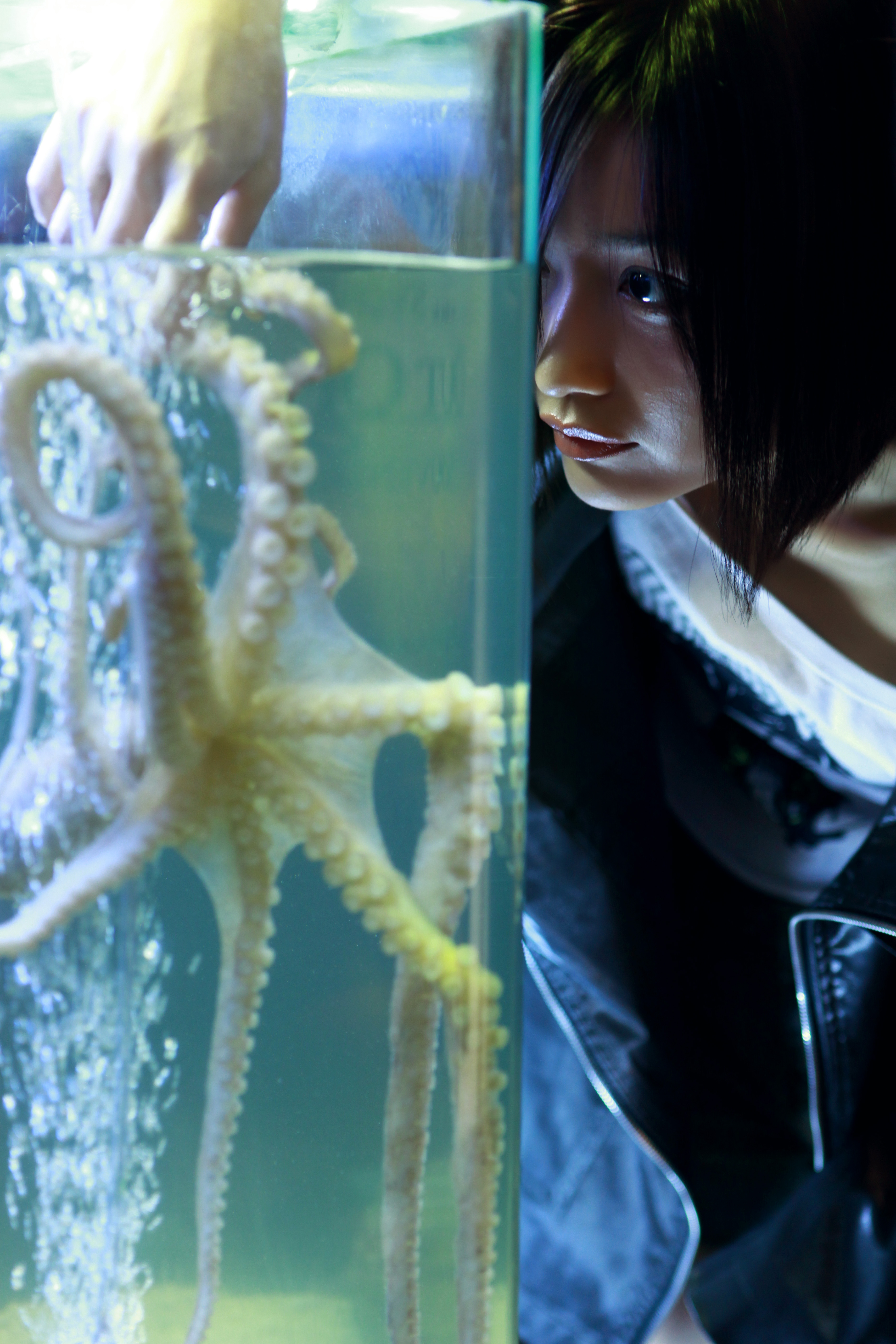 追踪章鱼保罗剧照的剧照