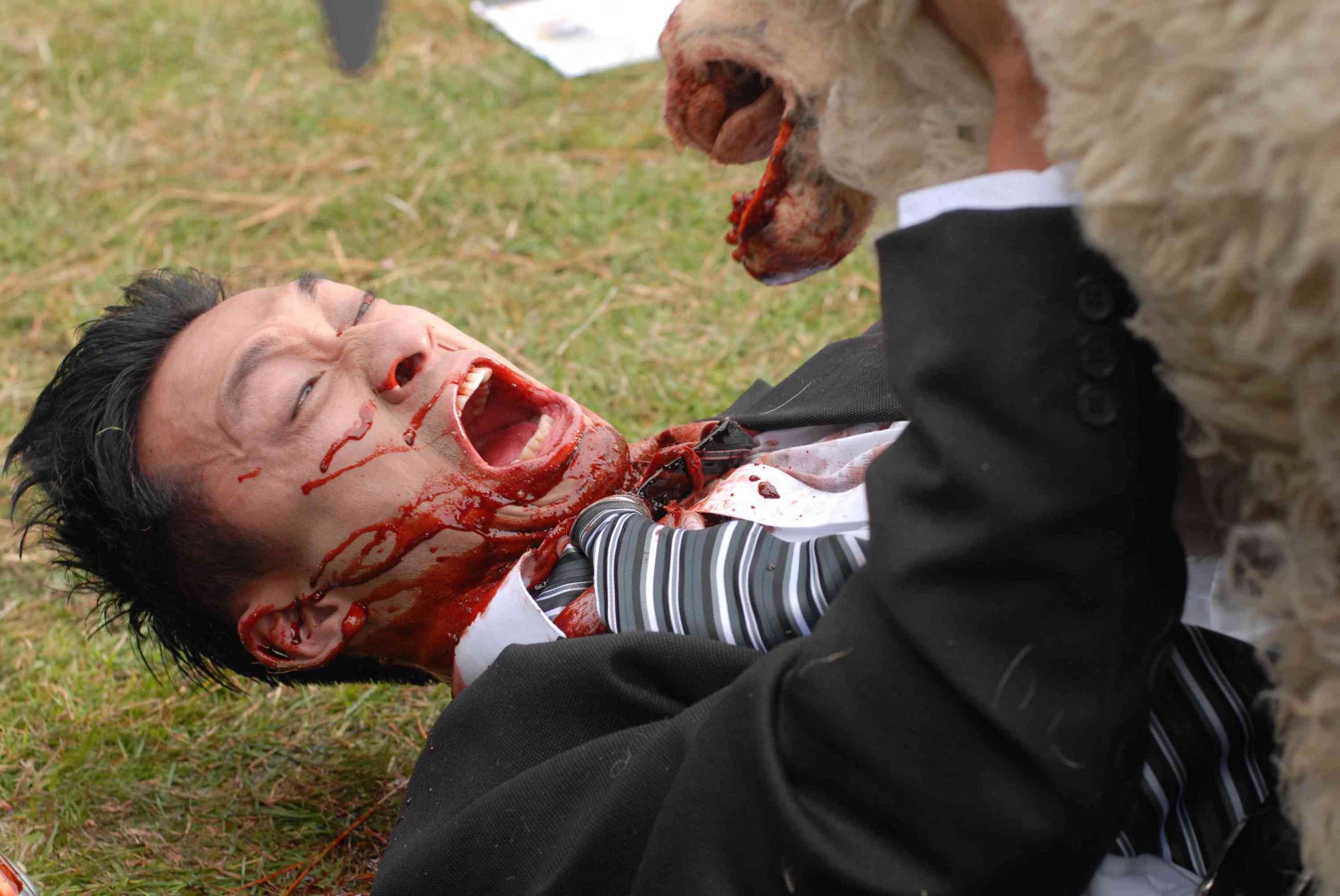 疯羊剧照的剧照