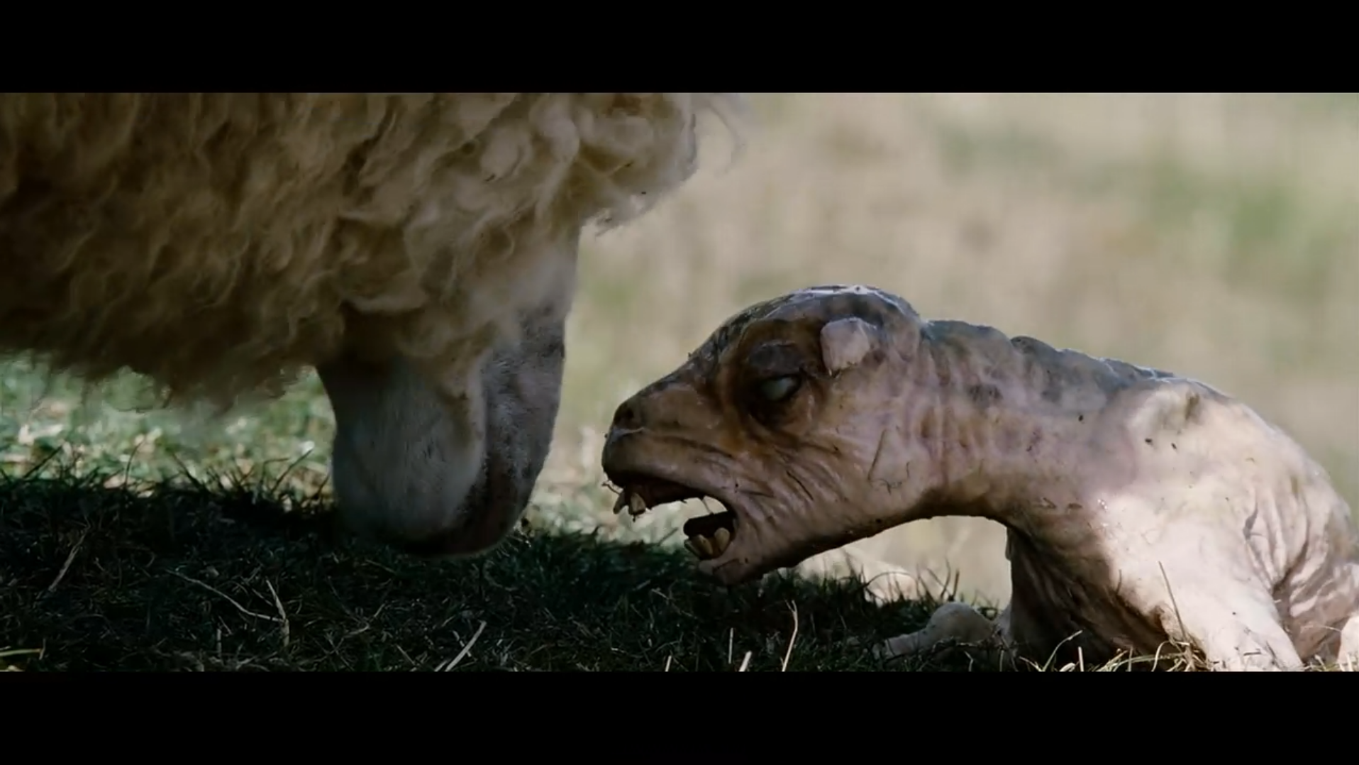 疯羊剧照的剧照