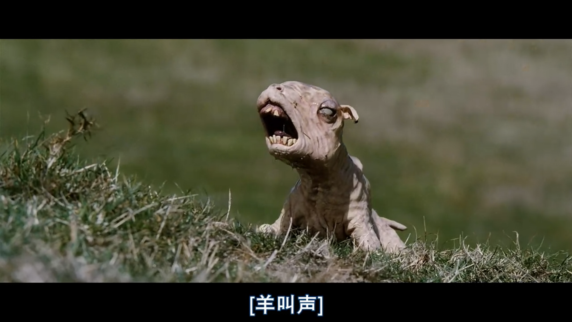 疯羊剧照的剧照