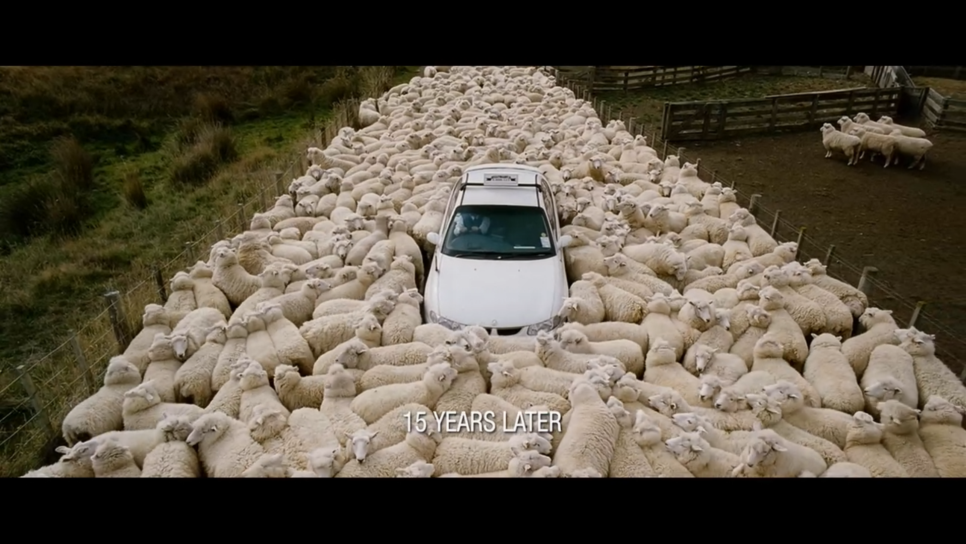 疯羊剧照的剧照