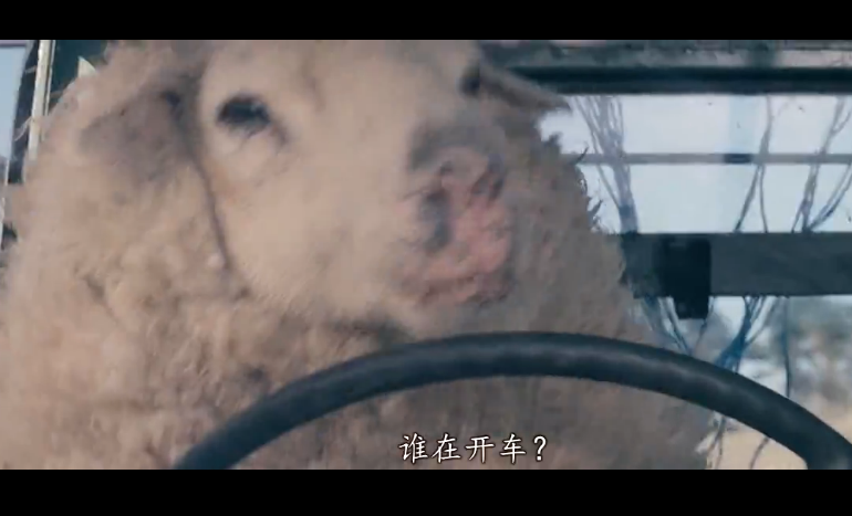 疯羊剧照的剧照