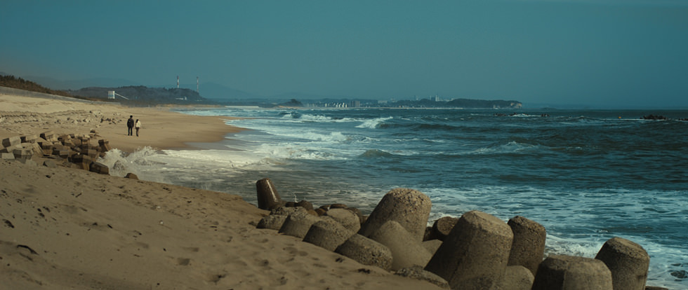 盛开的樱花树下剧照的剧照
