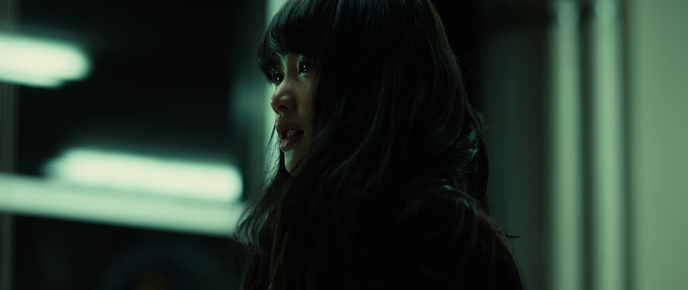 盛开的樱花树下剧照的剧照