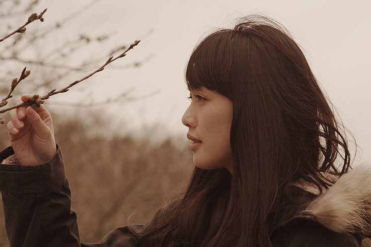 盛开的樱花树下剧照的剧照