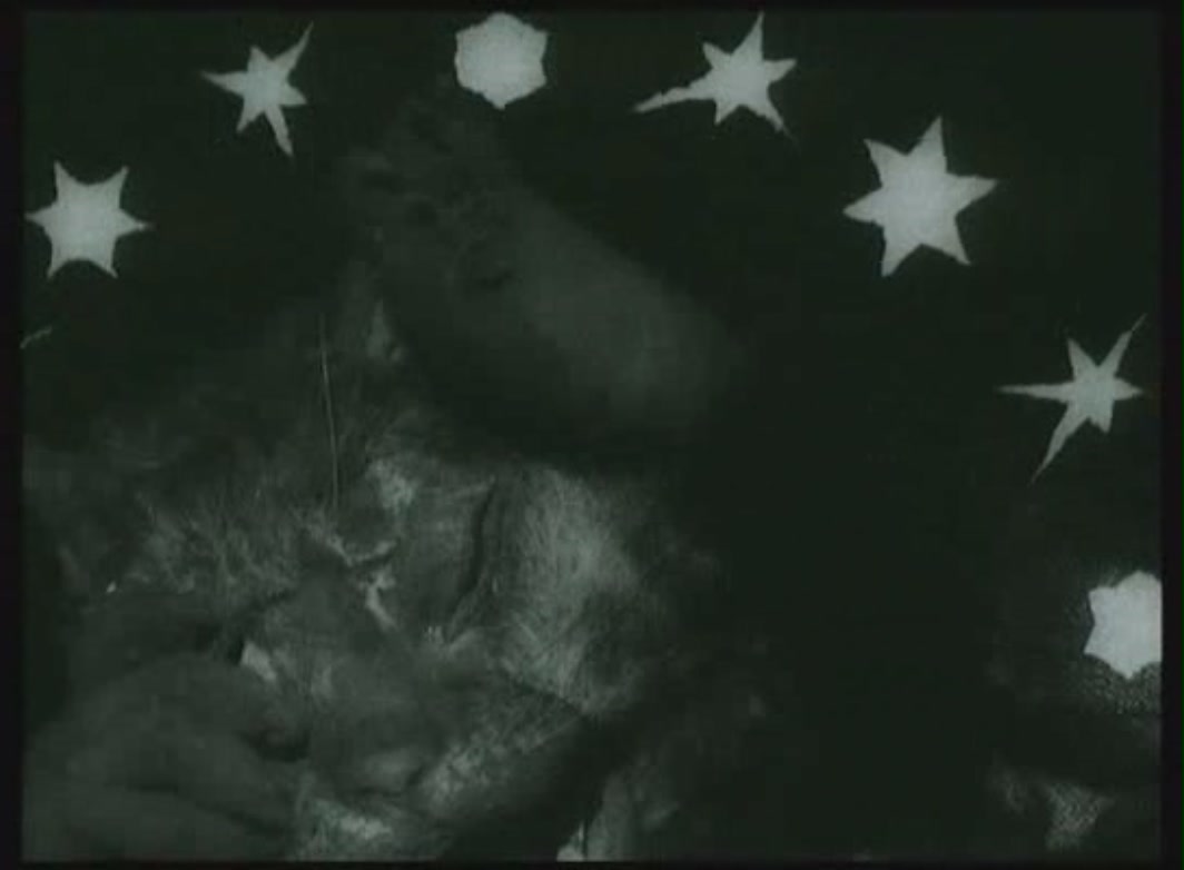 狐狸的故事剧照的剧照