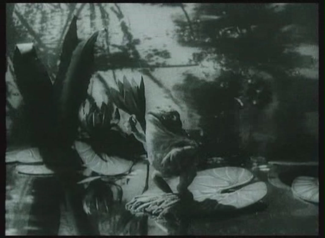 狐狸的故事剧照的剧照