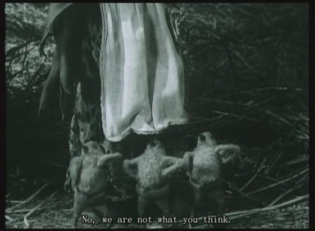 狐狸的故事剧照的剧照