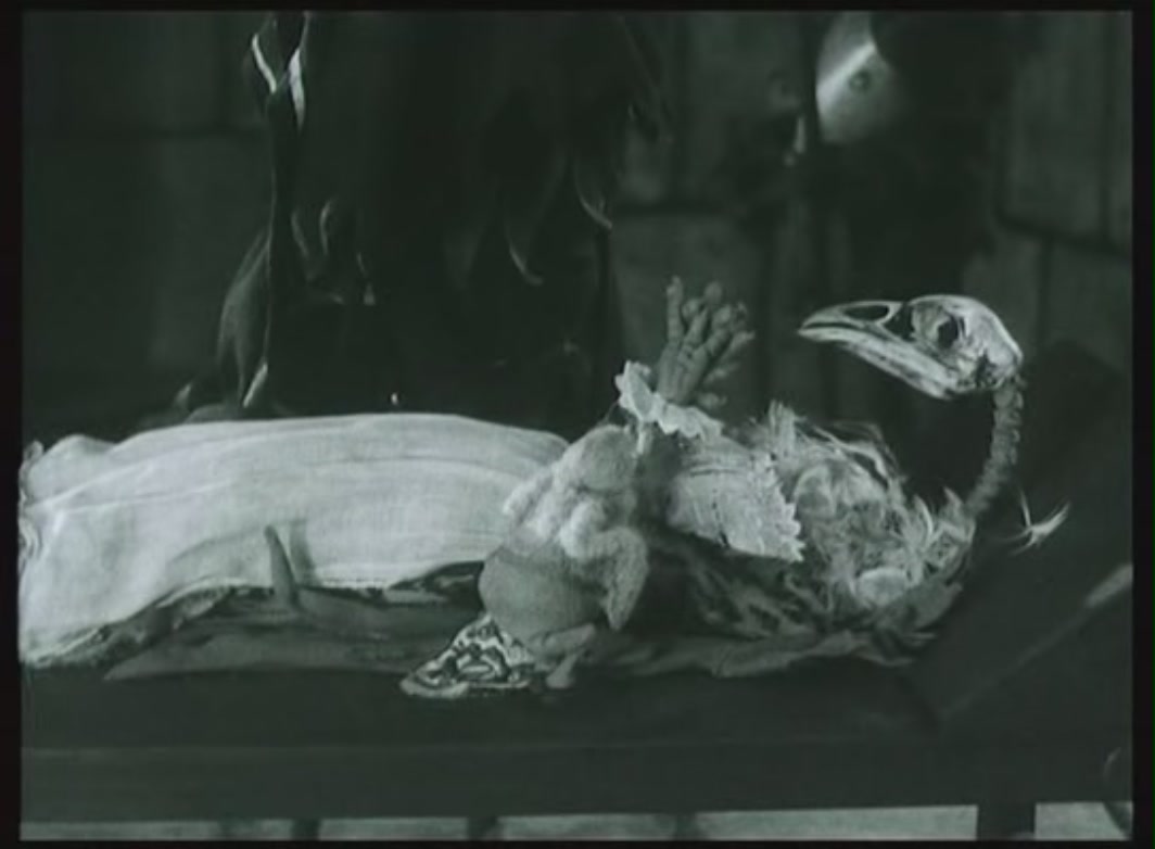 狐狸的故事剧照的剧照