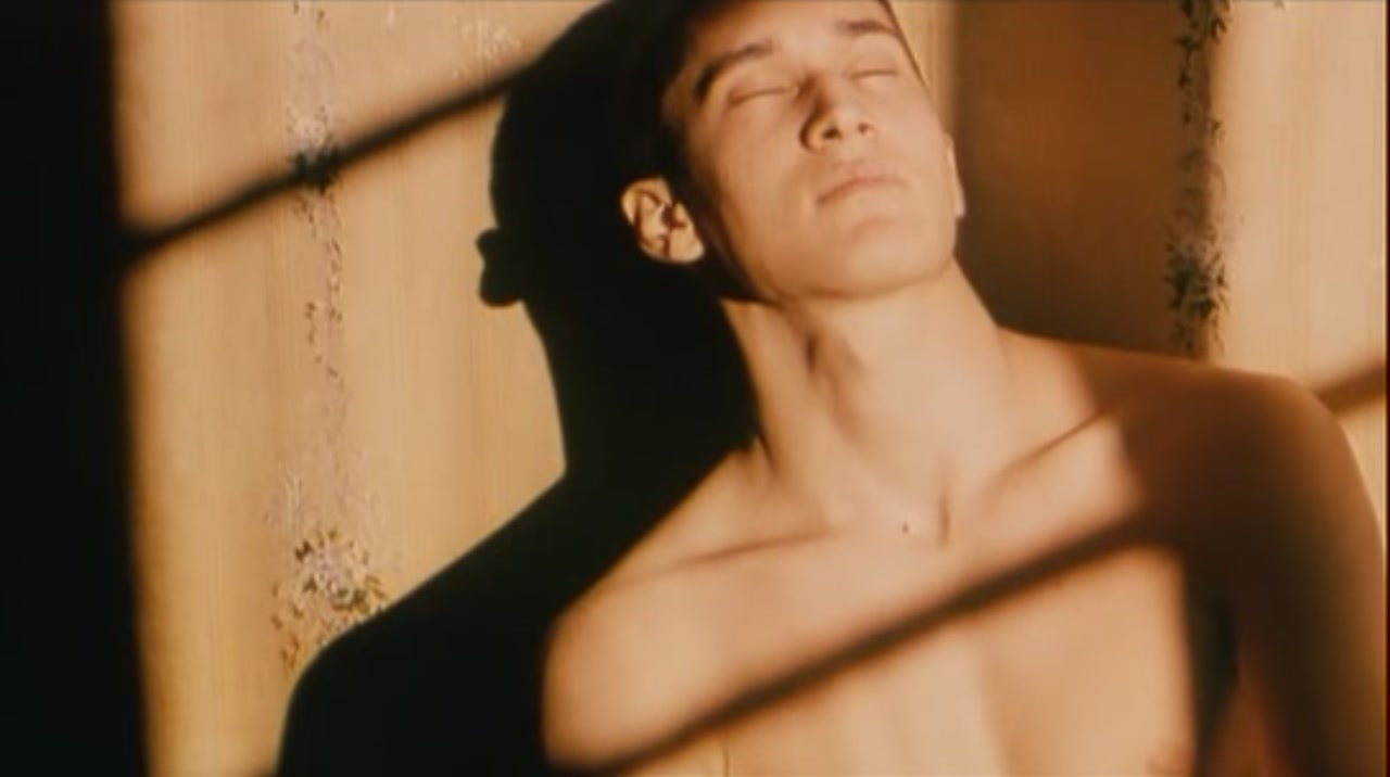 兄兄妹妹剧照的剧照