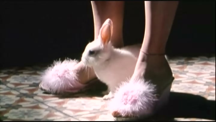 兄兄妹妹剧照的剧照