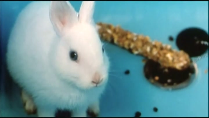 兄兄妹妹剧照的剧照