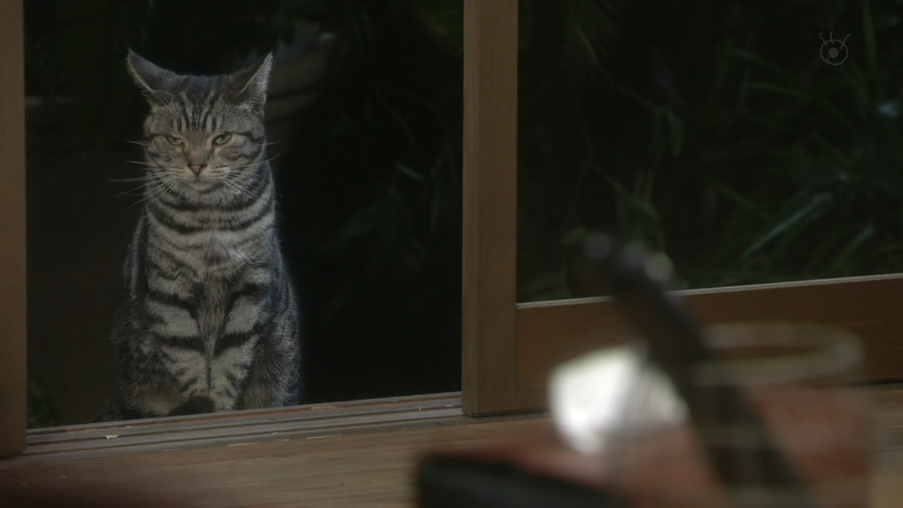 倒数第二次恋爱 2012秋SP剧照的剧照