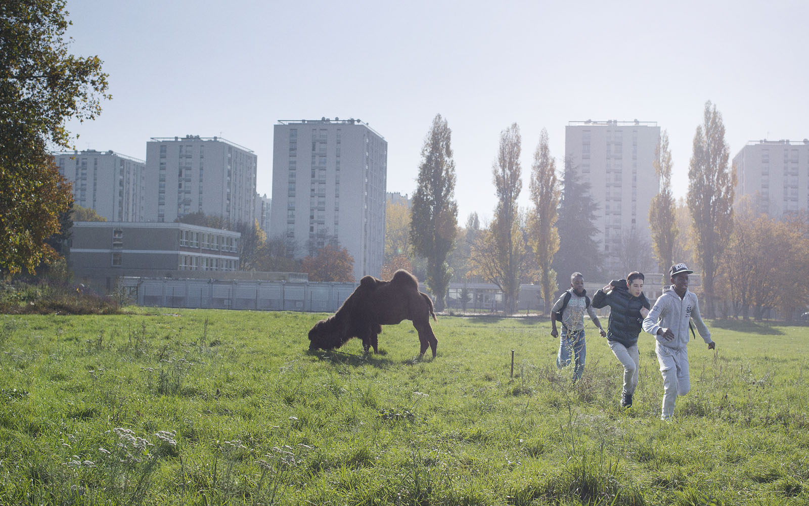 趾高气昂剧照的剧照