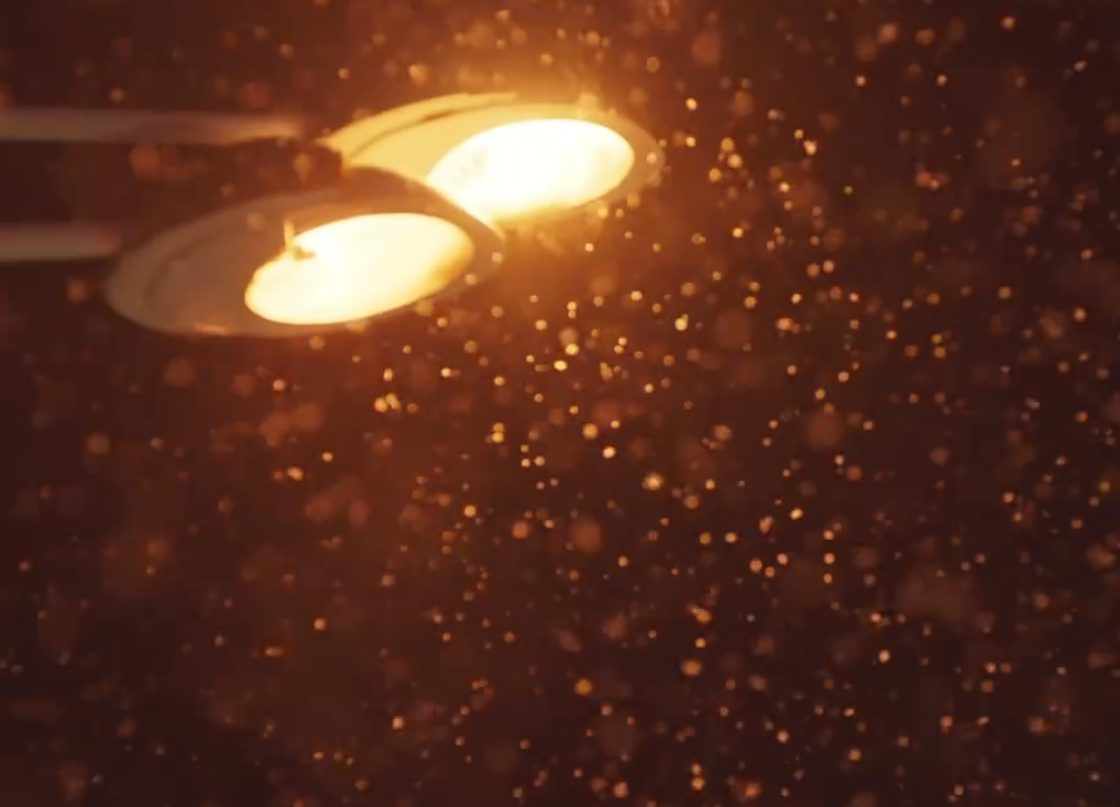 日光之下剧照的剧照