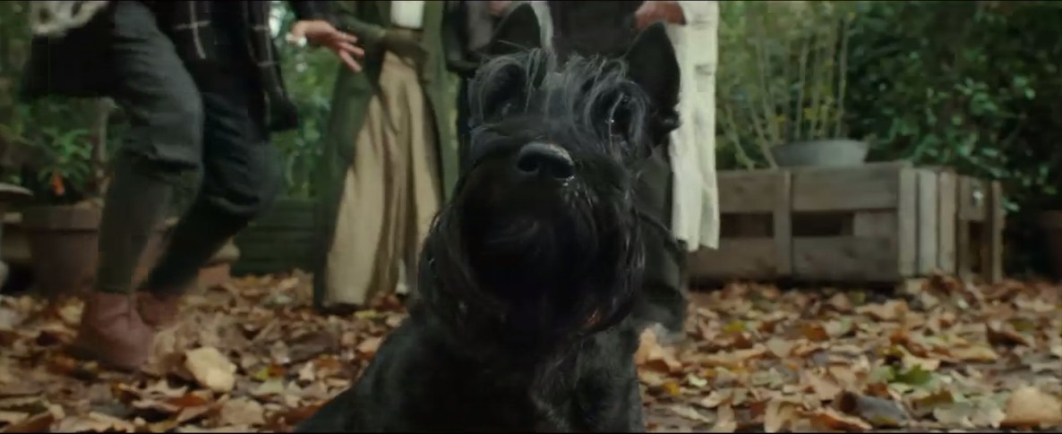 阿黛拉的非凡冒险剧照的剧照