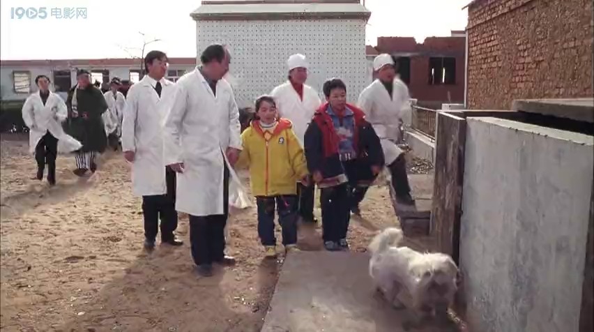 白天鹅的故事剧照的剧照