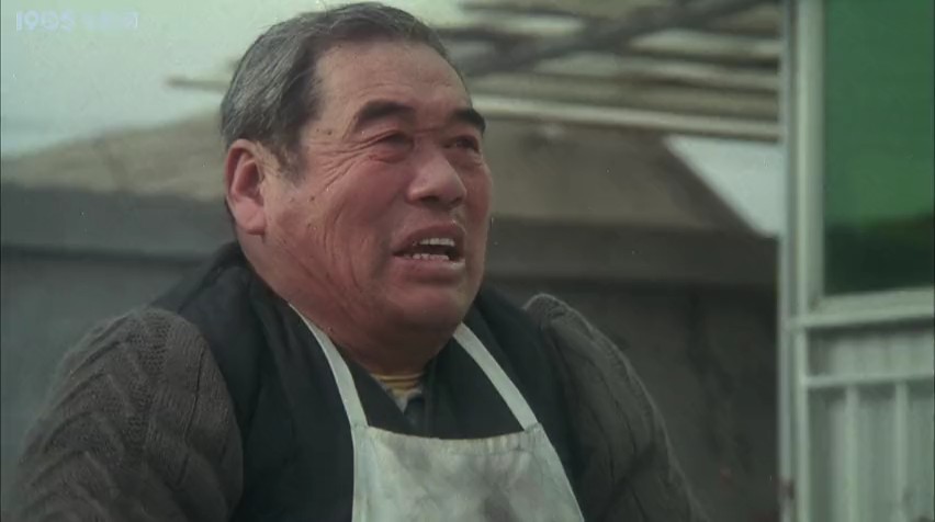 白天鹅的故事剧照的剧照