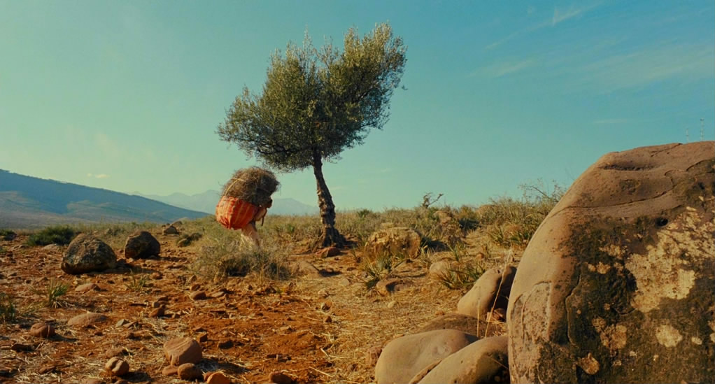 女人之源剧照的剧照