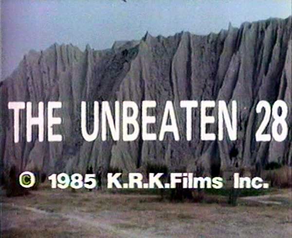 武当二十八奇剧照的剧照